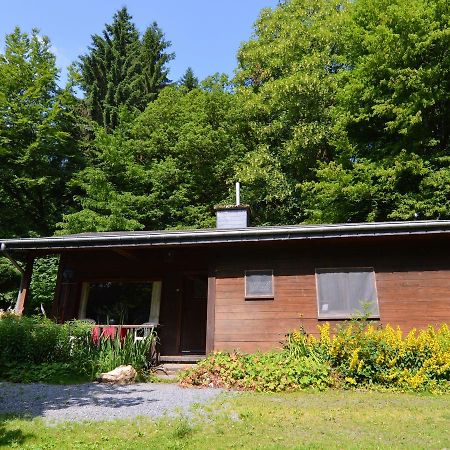 Detached Chalet In Lovely Hiking Region Bellevaux Εξωτερικό φωτογραφία