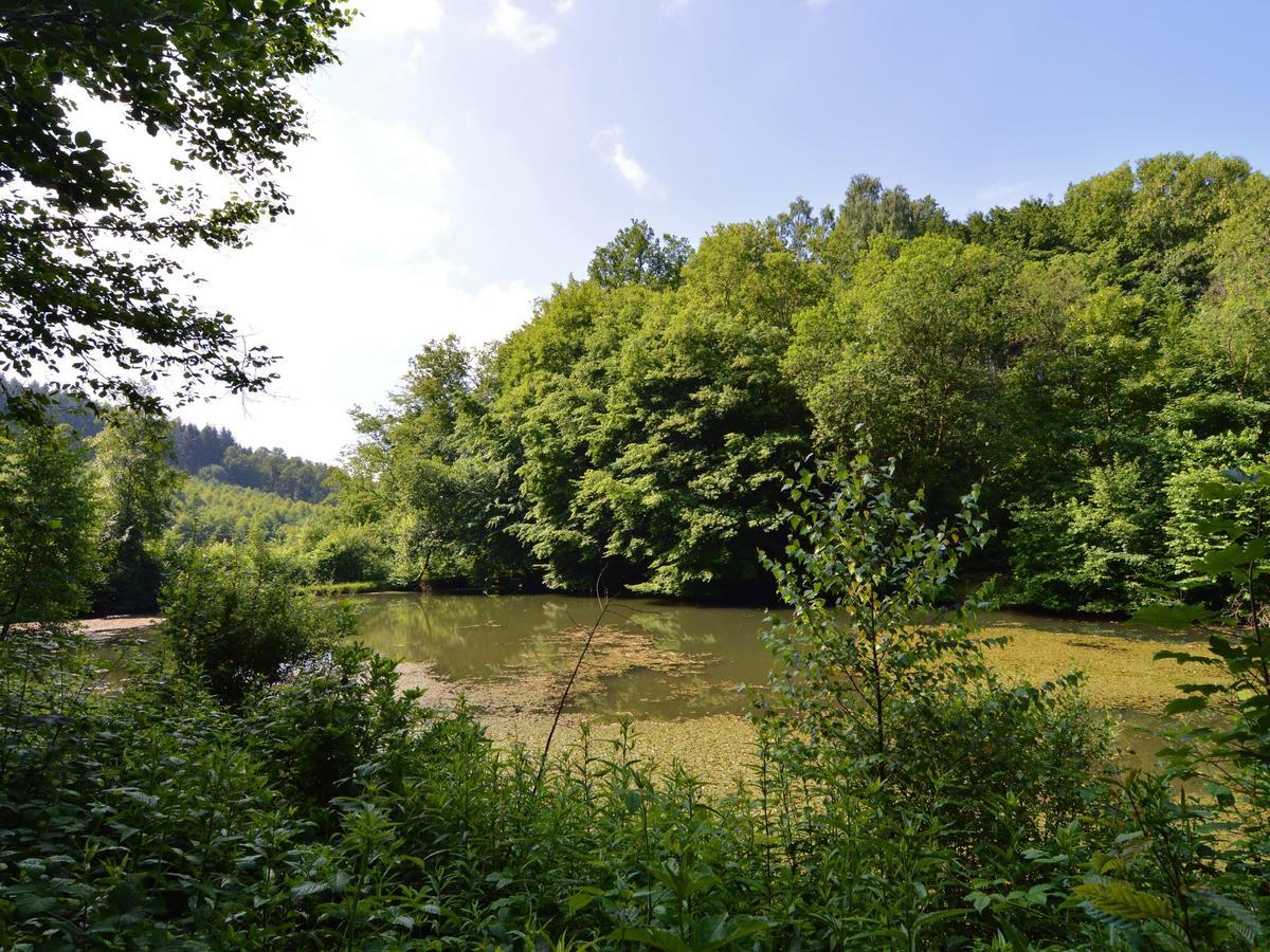 Detached Chalet In Lovely Hiking Region Bellevaux Εξωτερικό φωτογραφία